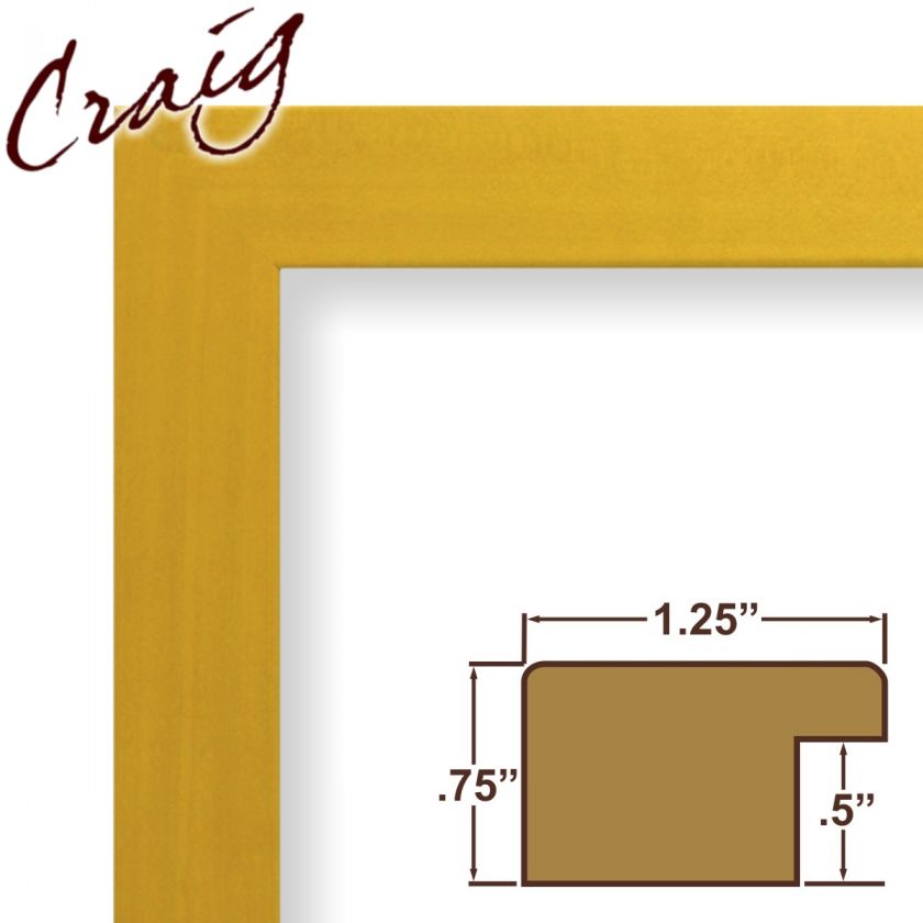 Custom Orange Colori Picture Frames (9 Panoramic)  