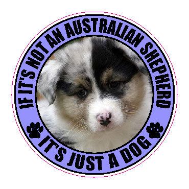 IF NOT AN AUSTRALIAN SHEPHERD ITS JUST A DOG STICKER  