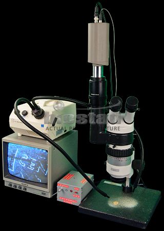 Wild Heerbruug M7A Stereo Zoom Microscope w/Fiber Optic System  