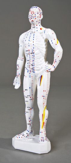 This mini acupuncture model shows 14 meridians and 72 acupuncture 