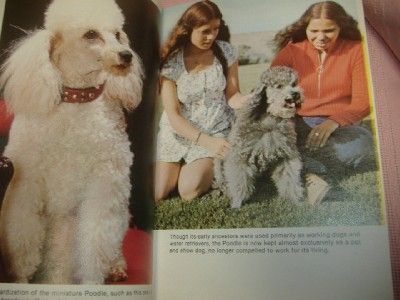 1979 POODLES Kerry Donnelly DOG SHOW BREEDING CARE BOOK  
