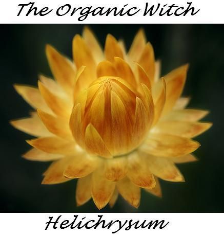 HELICHRYSUM Essential Oil 4ml 15ml Therapeutic Grade  