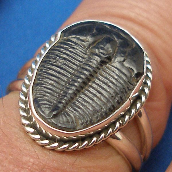 Trilobite Necklace sterling silver 9/16 Elrathia kingi  