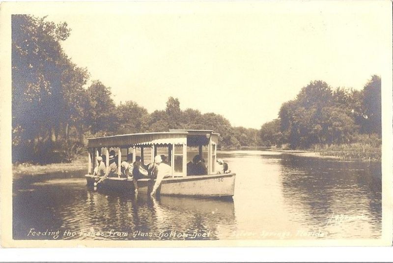 Florida, FL, Silver Springs, Glass Bottom Boat RPPC  