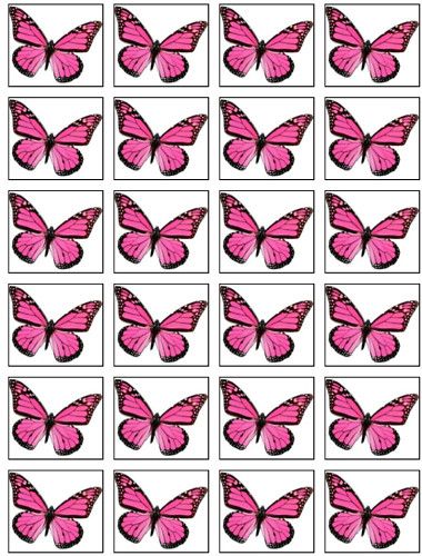 24 3D Pink Butterfly cupcake cake toppers Edible  