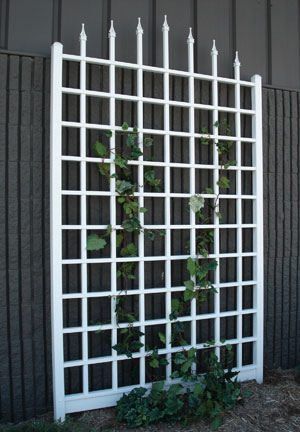 DURA TREL WINCHESTER TRELLIS 94 H 20 YEAR WARRANTY  