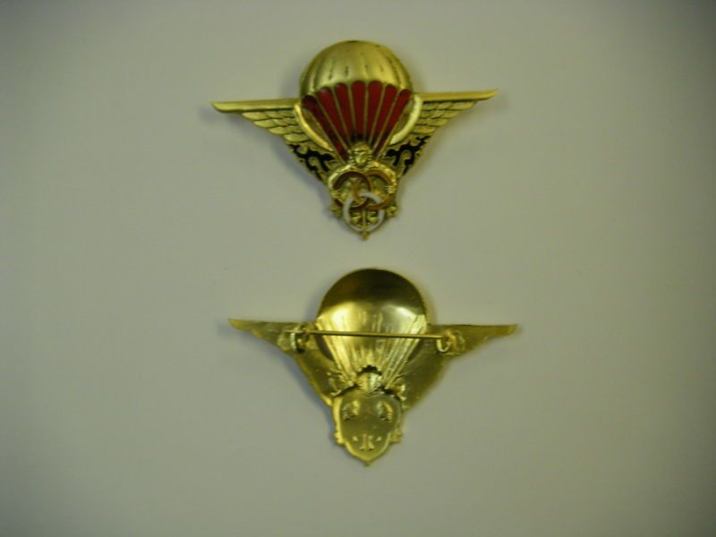 b0374 Vietnam Era LAOS Paratrooper Instructor Wing  