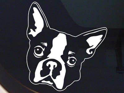 BOSTON TERRIER DOG PORTRAIT DECAL DOGS STICKER ART  NEW  