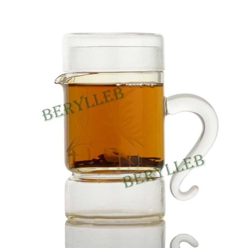 Clear Glass Office Teapot With Infuser & Lid 230ml  