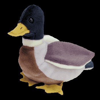 Ty Beanie Babies Bird Jake the mallard duck MWMT  