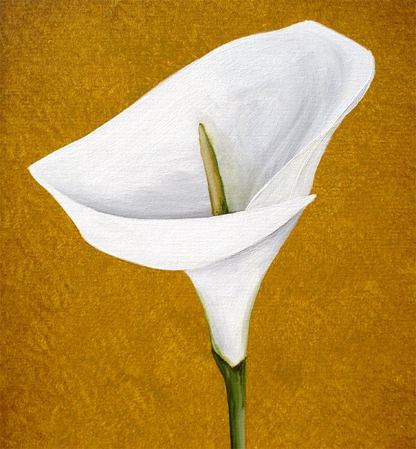 calla lily painting