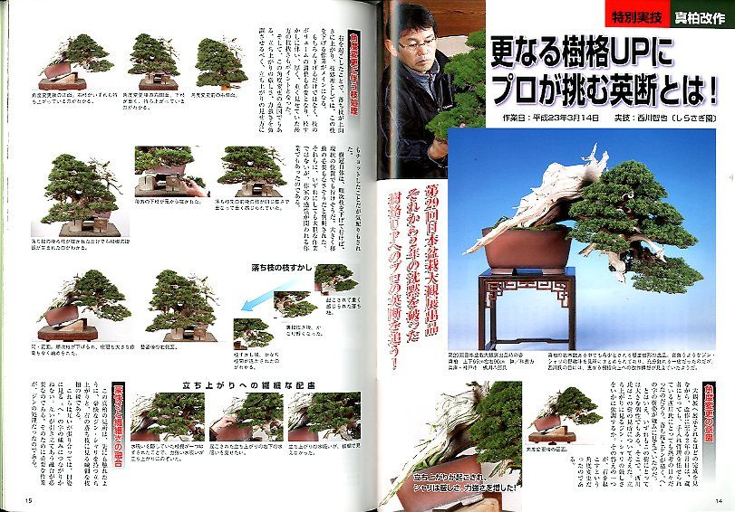 Kindai Bonsai Kinbon #405 Japanese Magazine Book  