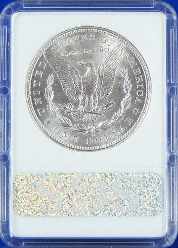   slabbed morgan silver dollar judge the coin for yourself you will