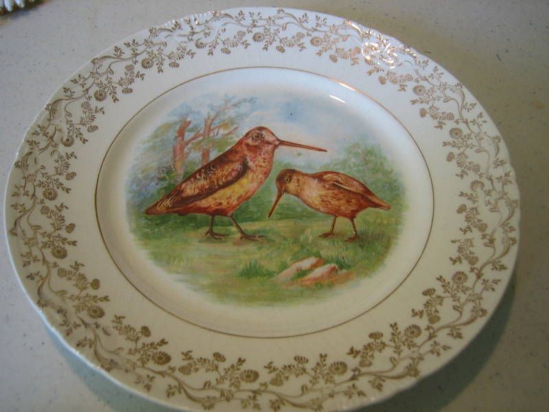 VTG US POTTERY COMPANY BIRD PLATE WELLSVILLE OHIO  