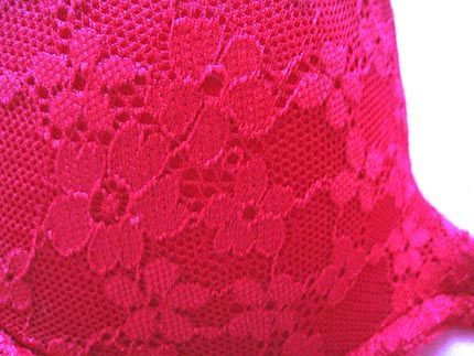VICTORIAS SECRET PINK RED LACE PUSH UP BRA SIZE 34C NWT In brand 